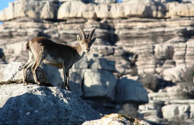 Detached Rural and Rustic House With a Private Swimming Pool - Photo 18