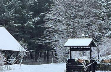 Domek w Zakątku Andrzeje Śniczany 18 - Photo 56