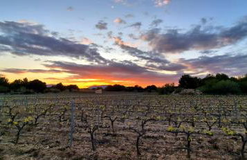 CasAlegria La Franqui - Foto 42