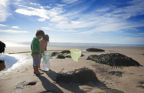 Round Park - A large dog friendly one level holiday cottage for groups and families - Photo 28