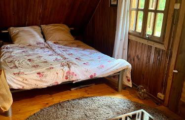 House in the forest in Podlasie - Foto 11