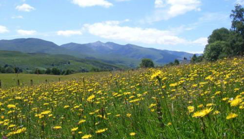 Glas Doire Lodge, Glen Roy Nature Reserve - Foto 3