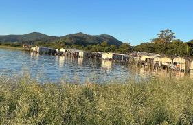 Apartamento aconchegante perto do mar - Photo 35