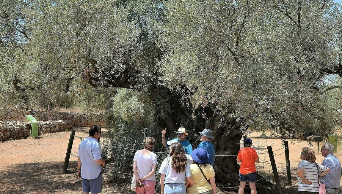 Tour in Ulldecona - Photo 1