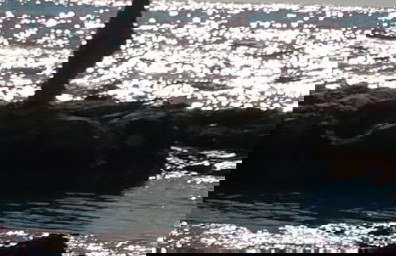 Sole Mare E Relax for Dream Holidays in Siculiana - Foto 54