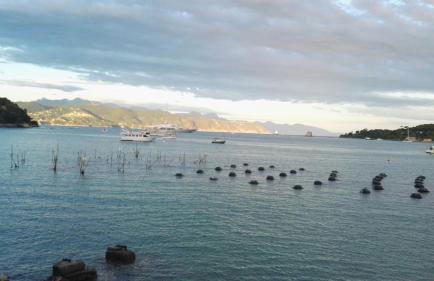 Il nido dei Gabbiani - Photo 49