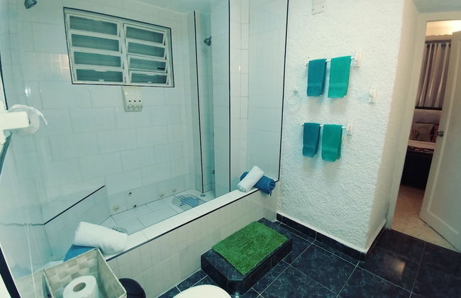 Boutique Vedado Villa - Photo 66