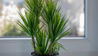 Le Refuge des Grands Rassemblements - Foto 4