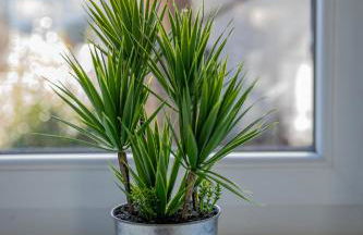 Le Refuge des Grands Rassemblements - Foto 4