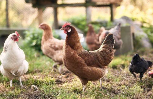 Ferienwohnung Henne - Foto 23