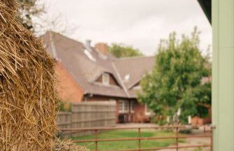 FEWO auf dem Lande / nahe SPO - Foto 65
