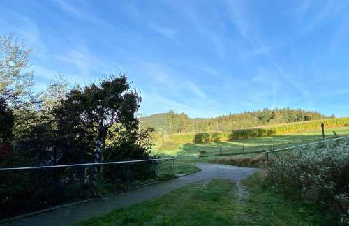 Haus Fernblick - Foto 12