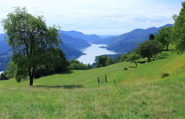 Lugano Bay View Uno - Foto 10