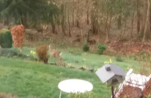 Perlenbachtal - Foto 32