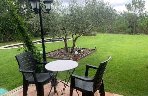 Cabanya en plena natura - Foto 1