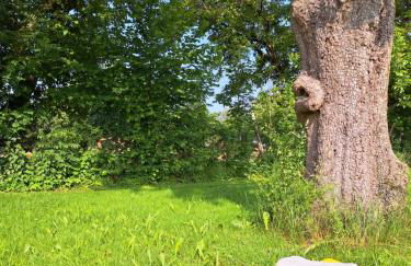 1869 Deine Ferienwohnung im Allgäu - Foto 8