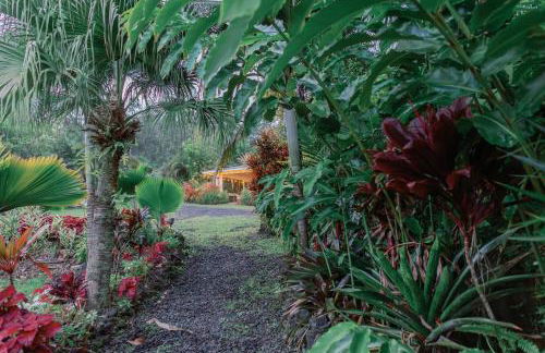 Mala o Kilauea Nature Retreat - Foto 22