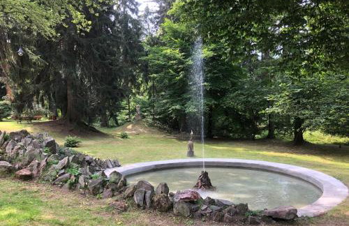 Słoneczne Apartamenty - Foto 55