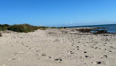 Ferienwohnung-in-Strandnaehe-Schwalbennest-1 - Foto 3