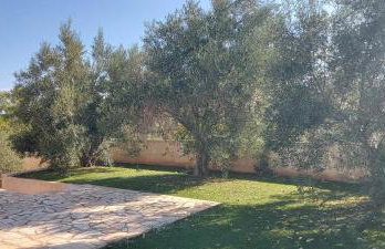 Gianni & Sophia airport house - Foto 3