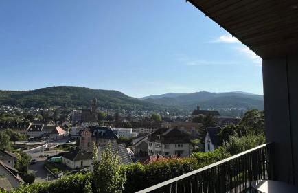 KITTERLELODGE Suite 1 à 5 personnes avec vue - Foto 7