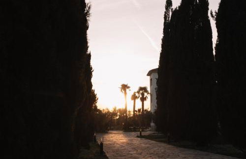 Finca La Concertista - Foto 22