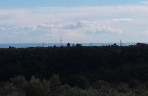 Tra gli ulivi - Foto 23