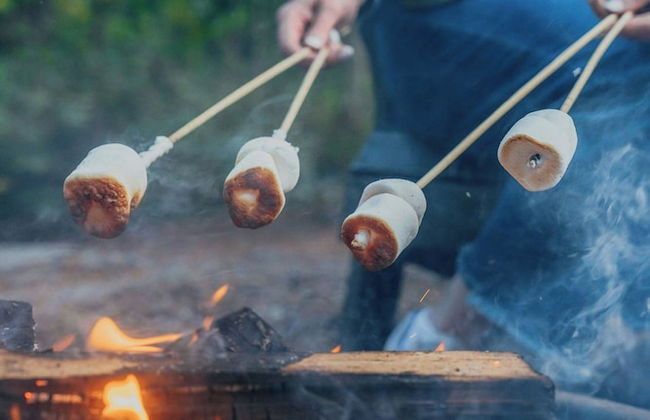 Postcard Cabins Barber Creek, Outdoor Collection by Marriott Bonvoy - Photo 78