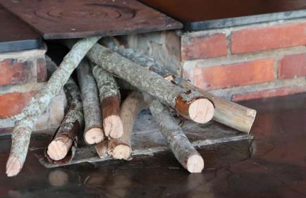 Haras Santa Amalia - Nova União MG - Foto 18