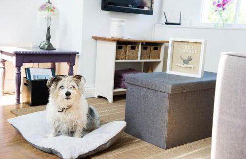 OLD CHAPEL Hayton Cumbria CA89HR - Foto 35