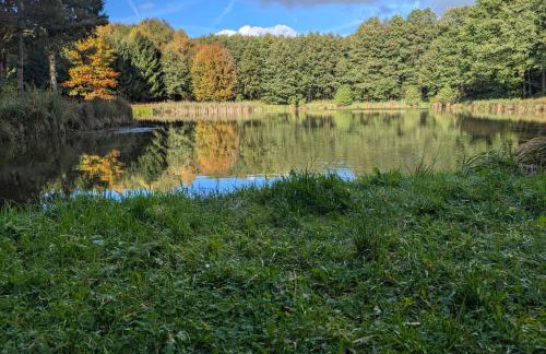 Oaza Las Zagozd - Foto 19