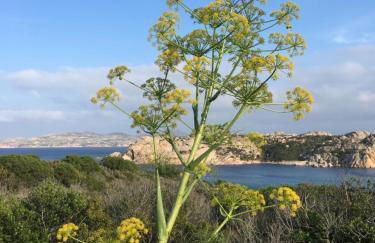 Giulianahouse - Foto 30