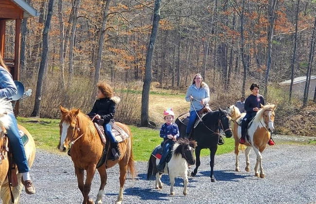 Creekside Resort - Foto 34