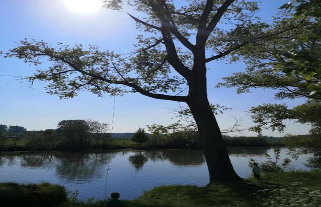 Family Home With Garden - Photo 37