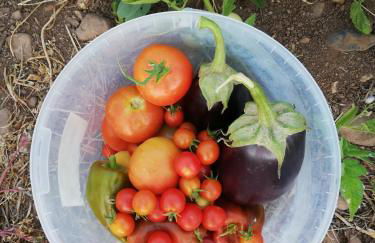 Burrico D`Orada - Rural Stays & Wine Country Tours - Foto 52