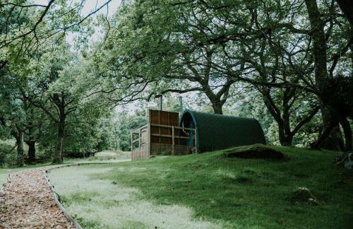 Willow Cabin & Hot Tub - Foto 7