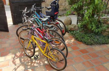 Le Lion d'Or - Foto 31