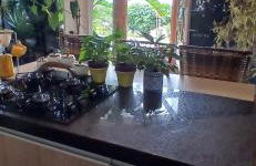 Belíssima casa de praia com piscina - Photo 8