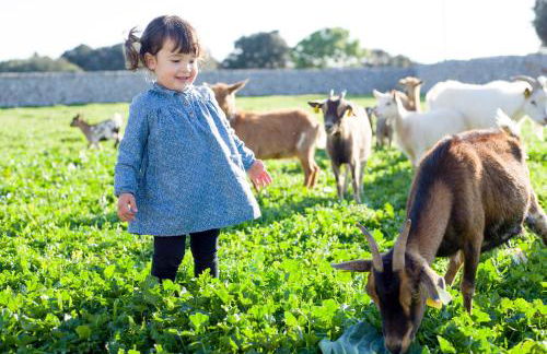 Agroturismo Llucmaçanes Gran - Foto 69