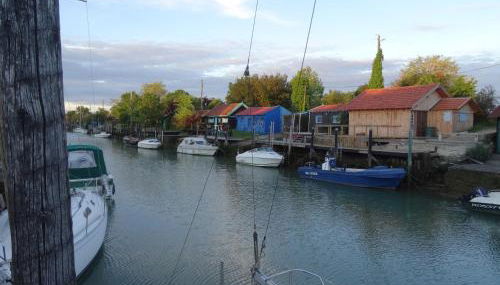 Gite 3 étoiles les Nougers - Foto 4