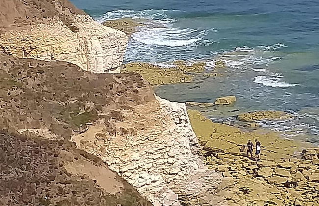 Hartendale - Foto 43