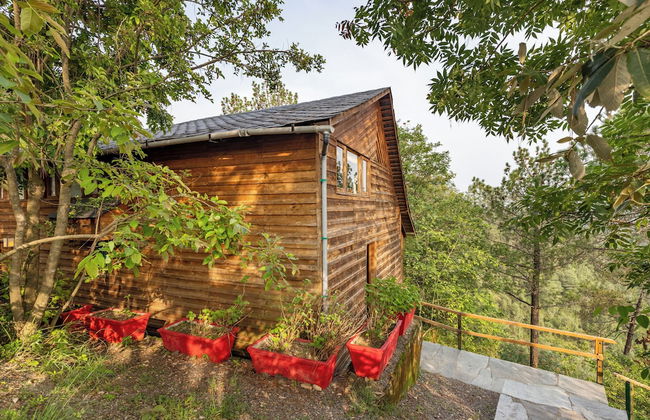 Alaya Stays Suro Woodbine Chalet Cottage - Foto 69