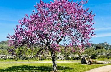 Agriturismo Bed and Breakfast Tanca Taroni - Foto 63