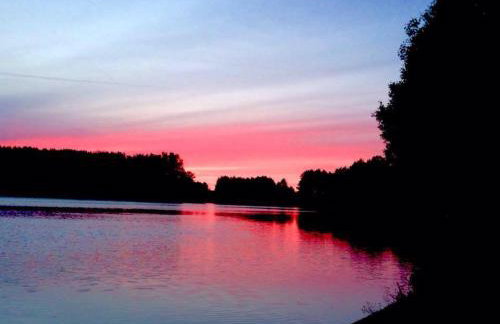 Domek wypoczynkowy w lesie nad jeziorem - Foto 36