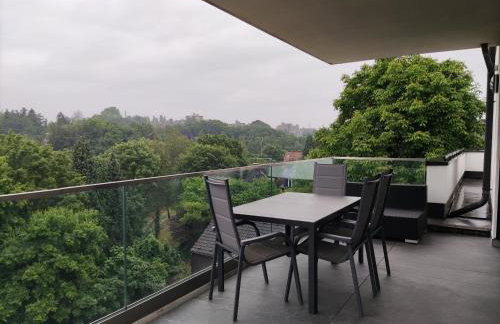 Luxuriöse, große Wohnung mit Parkblick - Foto 1