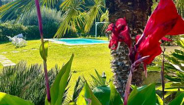 Strelitzia's house with heated pool , private garden and private parking & wi-fi - Foto 5