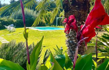 Strelitzia's house with heated pool , private garden and private parking & wi-fi - Foto 5