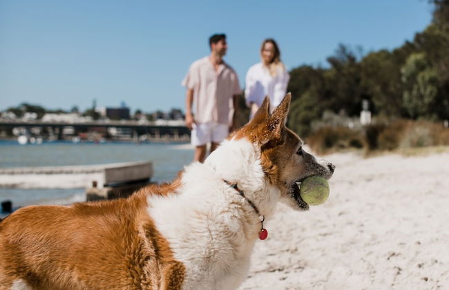 Pier 21 Riverside Apartment Hotel - Foto 68