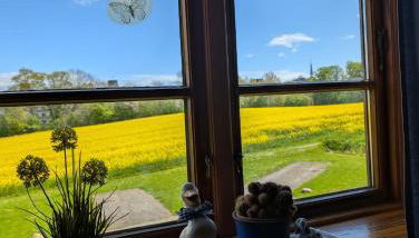 Ostseebauernhof Schönhagen - Foto 2