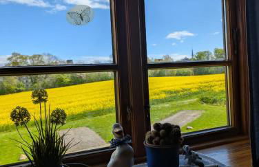 Ostseebauernhof Schönhagen - Foto 2